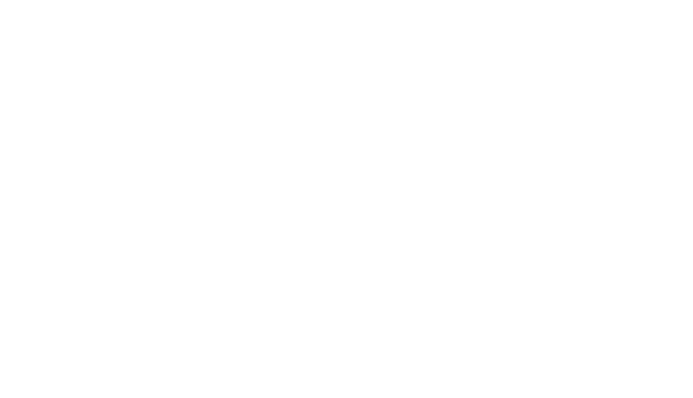 PIEX Store Life Provider